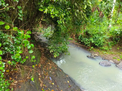 Tanah murah Datar los sungai dekat pantai balian di bali