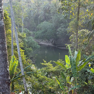 Tanah murah los sungai view jugle di tabanan