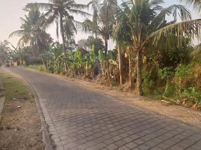 Tanah View Sawah Nyambu Tabanan Bali