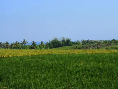 tanah zona pariwisata dengan view laut dan sawah terasering di bali