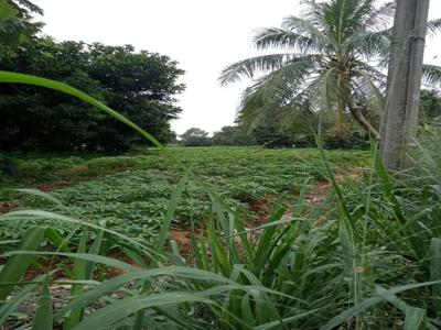 Dijual Tanah Ciseeng Bogor