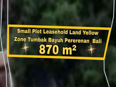Small Plot Leasehold Land Yellow Zone Tumbak Bayuh Pererenan Bali