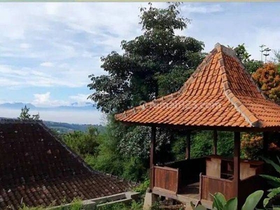 Dijual Sangat Murah, Tanah Bonus Villa Antik di Punclut Lembang, Phenomenal Sangat Langka dan Jarang Ada .. !!