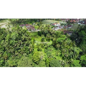 Dijual Tanah Los Sungai View Lembah Kenderan Tegalalang Dekat The Kayon Resort Ubud - Gianyar